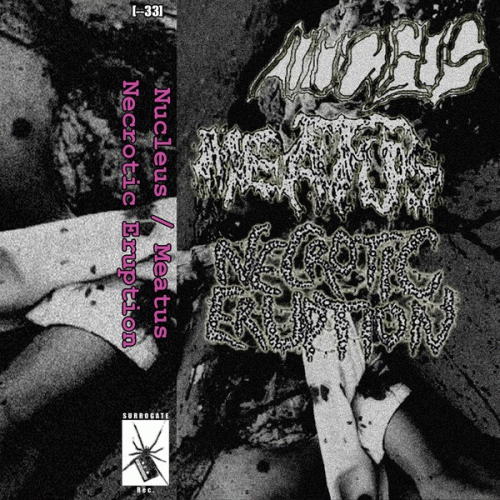 Meatus : Nucleus - Meatus - Necrotic Eruption